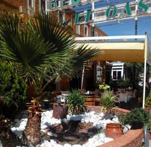 Hotel El Oasis Carchel Dış mekan fotoğraf